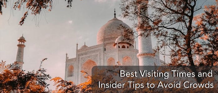 Avoiding the Crowds: Insider Tips on the Best Time to Visit the Taj Mahal