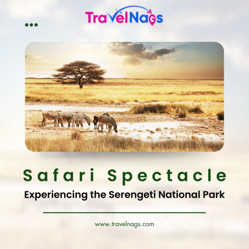 Visit Serengeti National Park and take part in the...