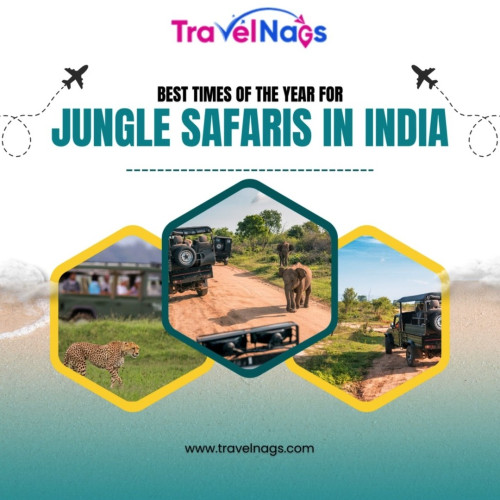 Plan your jungle safari adventure in India to expe...