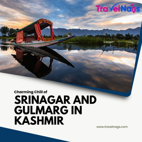 Venture into the beautiful chill of Srinagar and G...