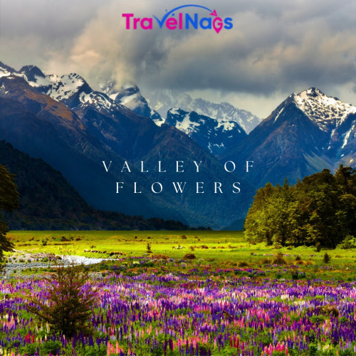 Explore the breathtaking Valley of Flowers, a vibr...