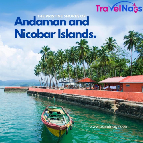 Escape to the pristine shores of the Andaman and N...