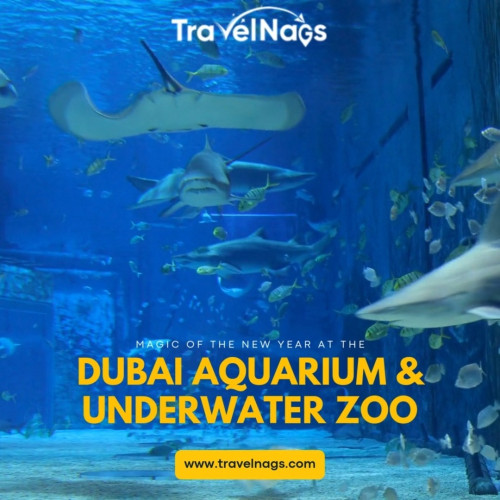 Dive into the magic of the New Year at Dubai Aquar...