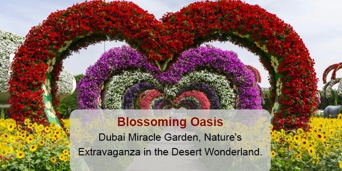 Floral Extravaganza: A Day Trip to Dubai's Stunning Miracle Garden - Attractions and Highlights