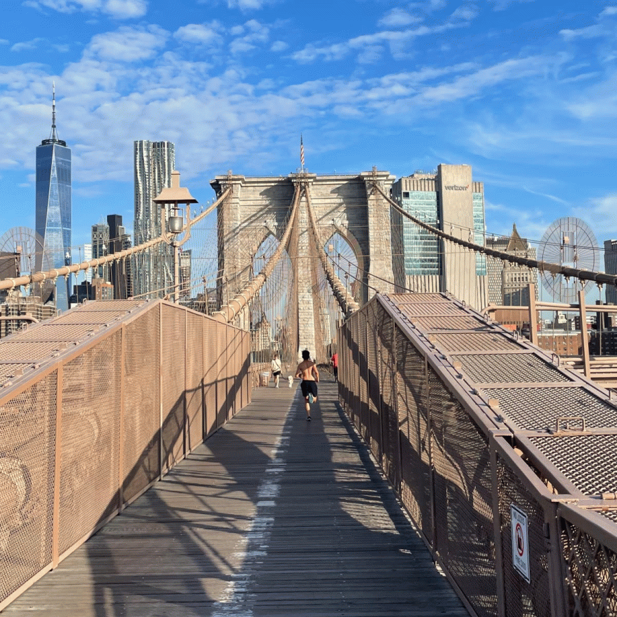 The Brooklyn Bridge